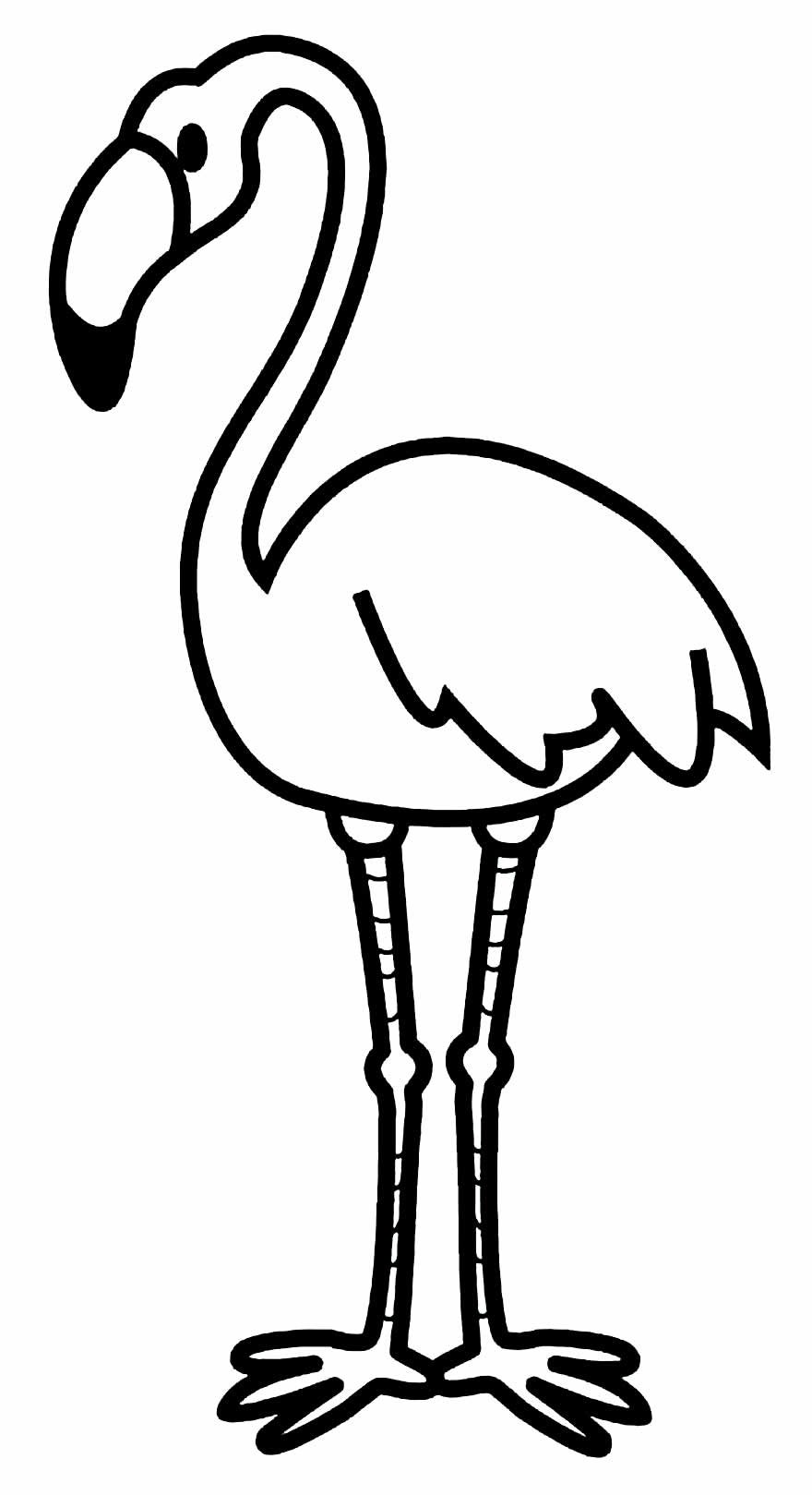 Desenhos de Flamingo para Colorir e Imprimir - Aprender a Desenhar