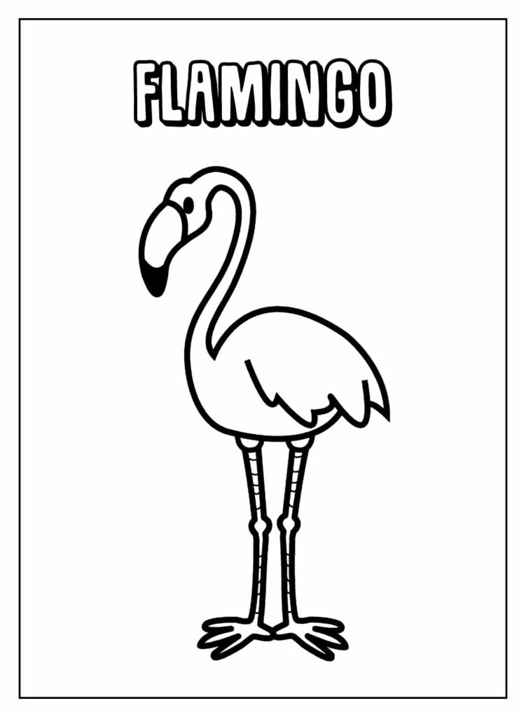 desenhos de flamingo para colorir 11