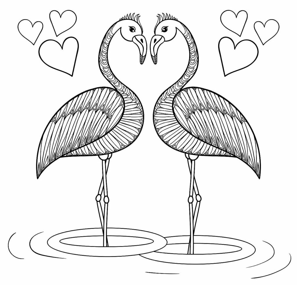 desenhos de flamingo para colorir 15
