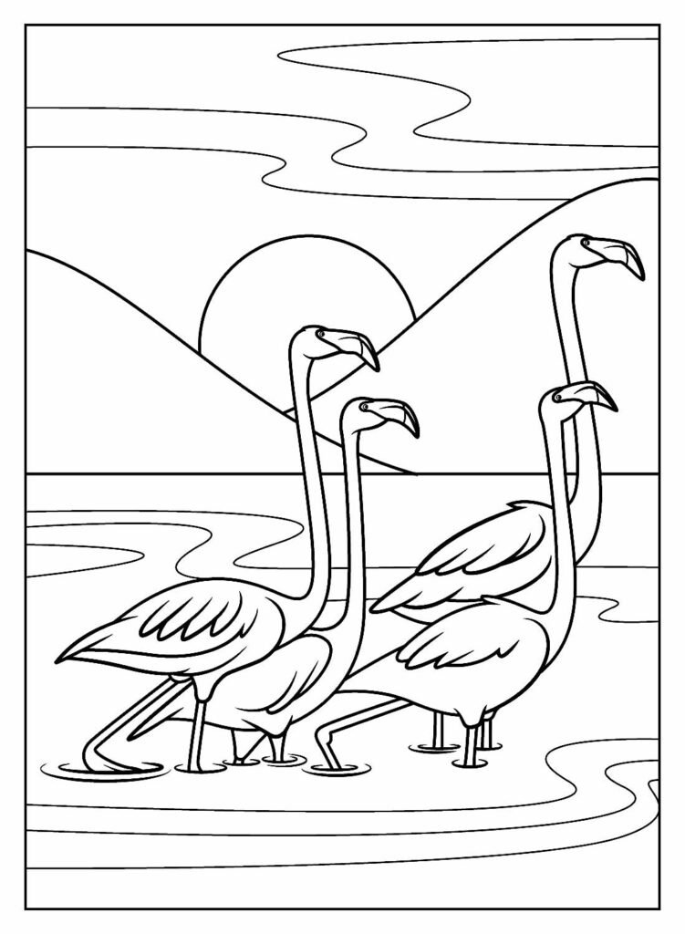 desenhos de flamingo para colorir 23
