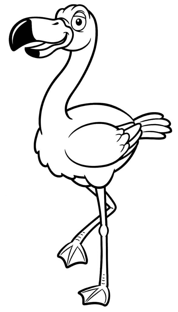 desenhos de flamingo para colorir 25