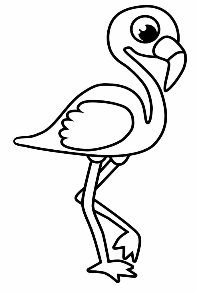 desenhos de flamingo para colorir 5