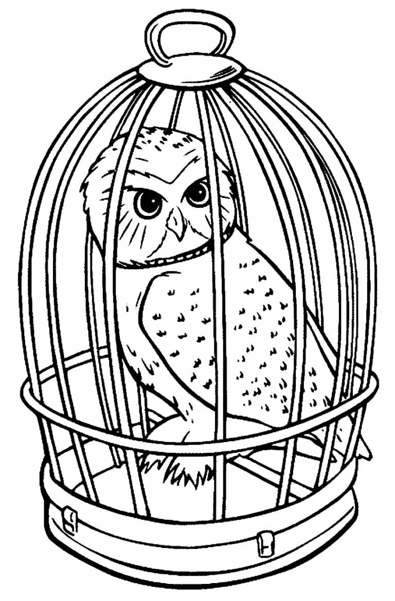 Desenhos de Harry Potter para Colorir e Imprimir - Aprender a Desenhar