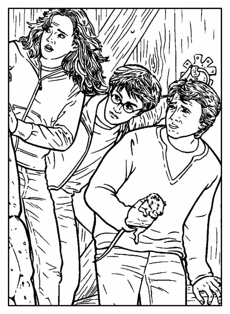 desenhos de harry potter para colorir 2 1