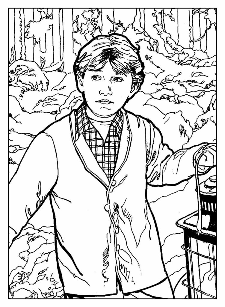 desenhos de harry potter para colorir 23