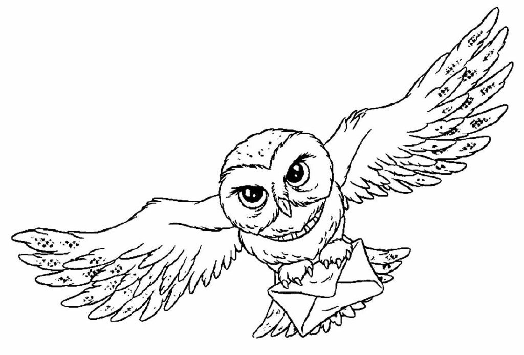 desenhos de harry potter para colorir 5 desenhos de harry potter para colorir 5