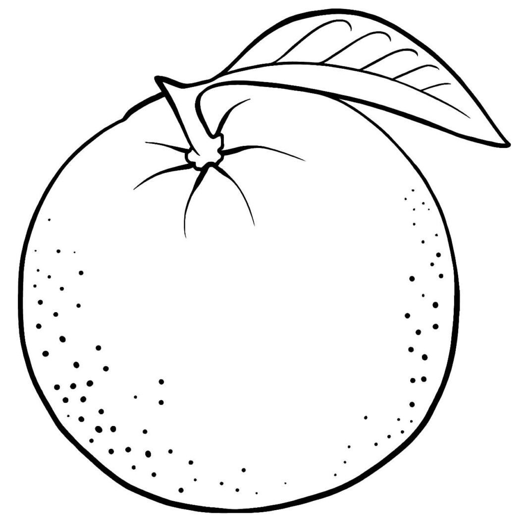 Desenhos de Laranjas para Colorir e Imprimir - Aprender a Desenhar