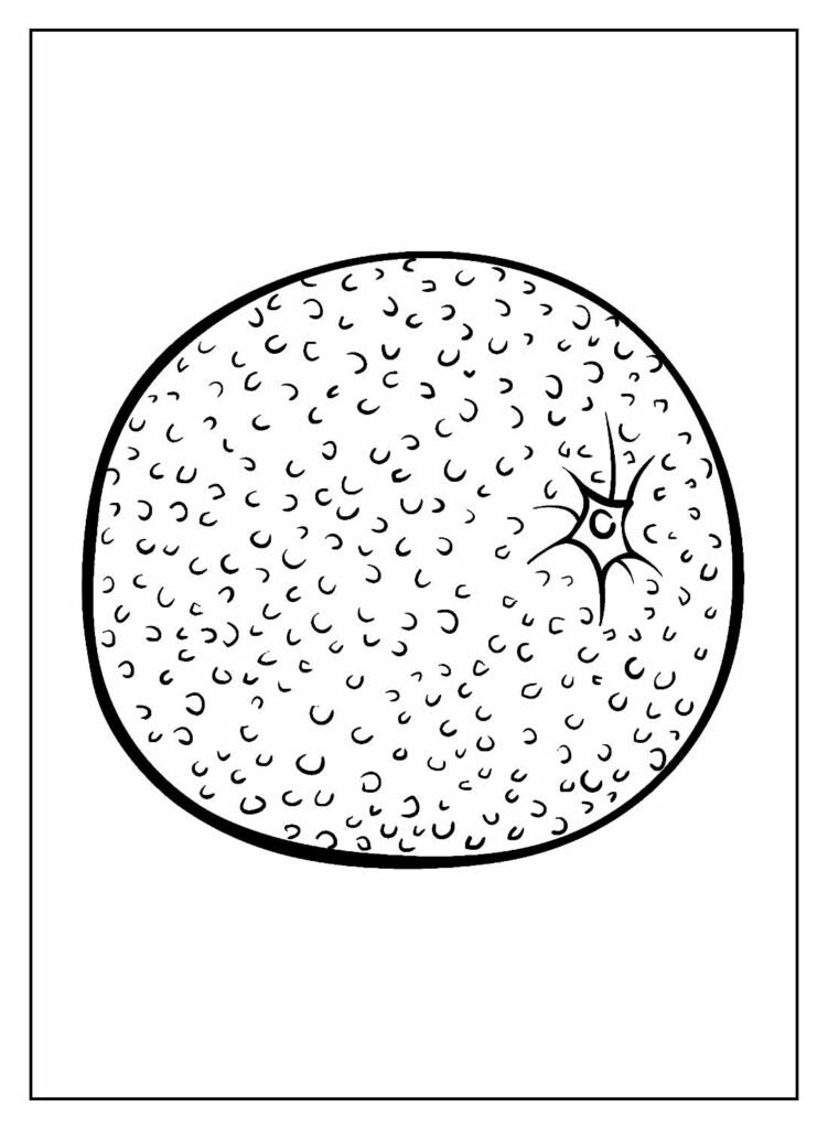 desenhos de laranja para colorir 19