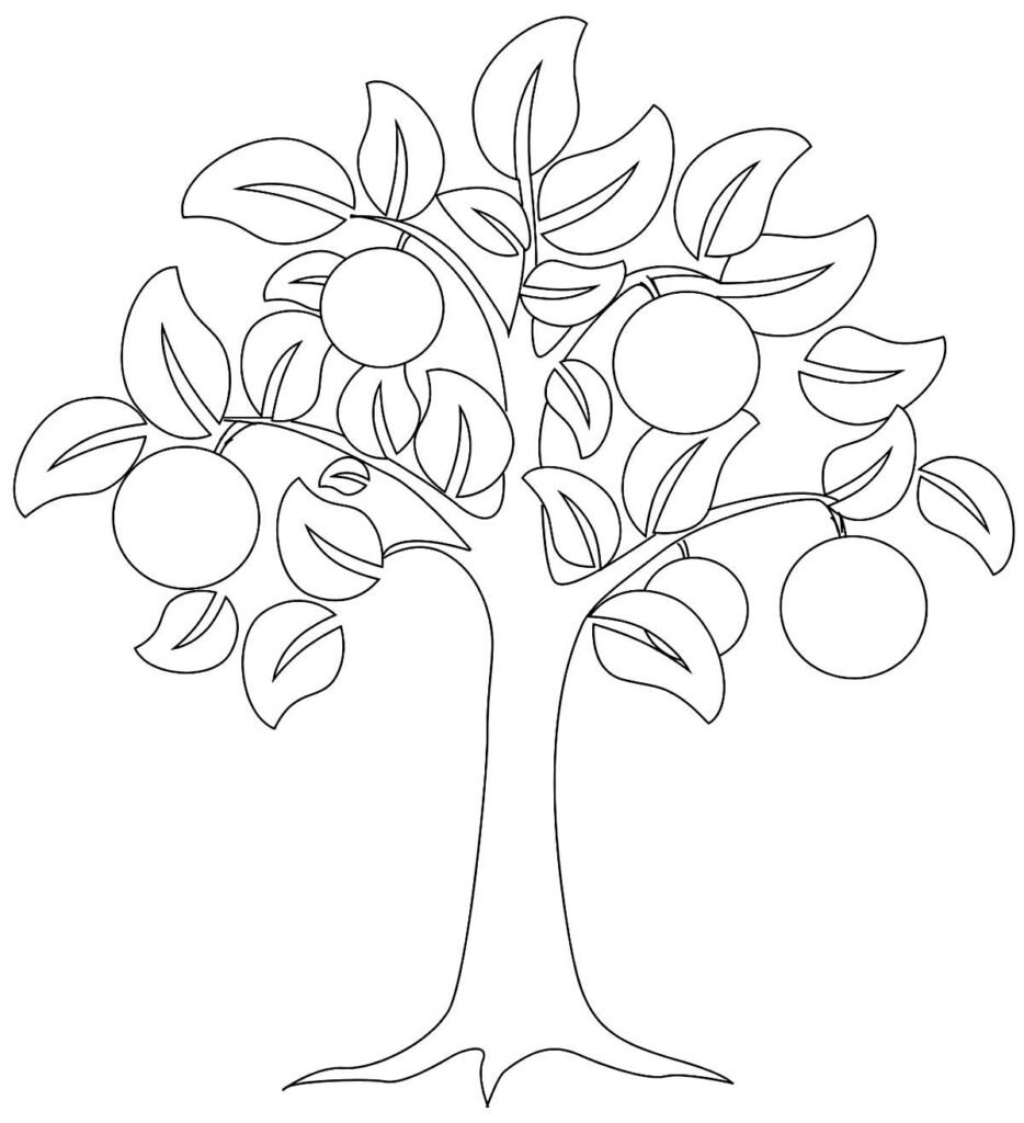 desenhos de laranja para colorir 22