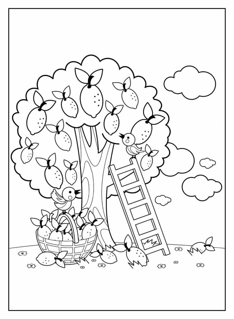 desenhos de limao para colorir 23