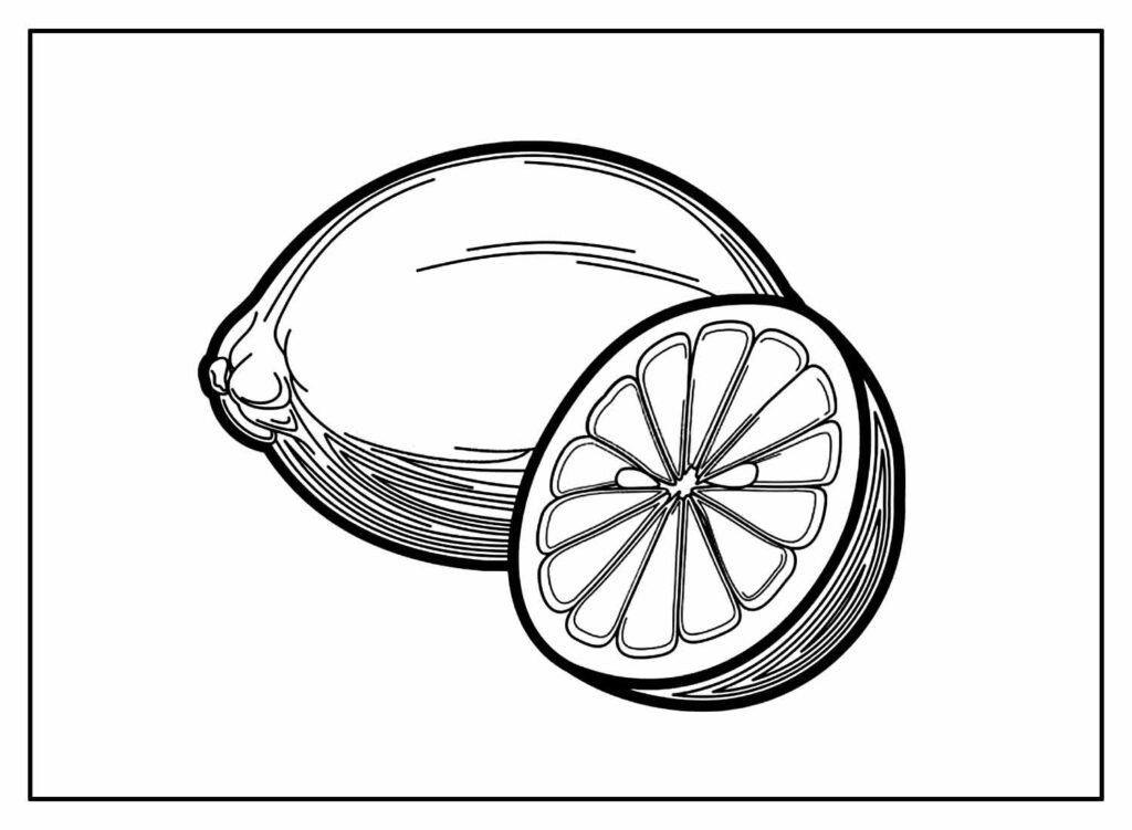 desenhos de limao para colorir 28