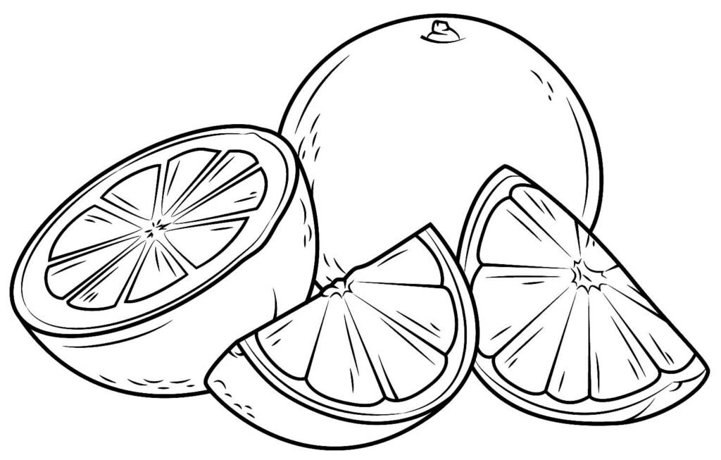 desenhos de limao para colorir 33