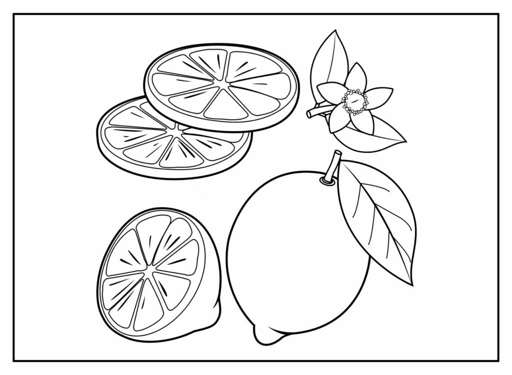 desenhos de limao para colorir 4