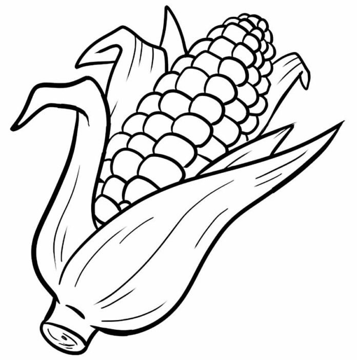 Desenhos de Milho para Colorir e Imprimir - Aprender a Desenhar