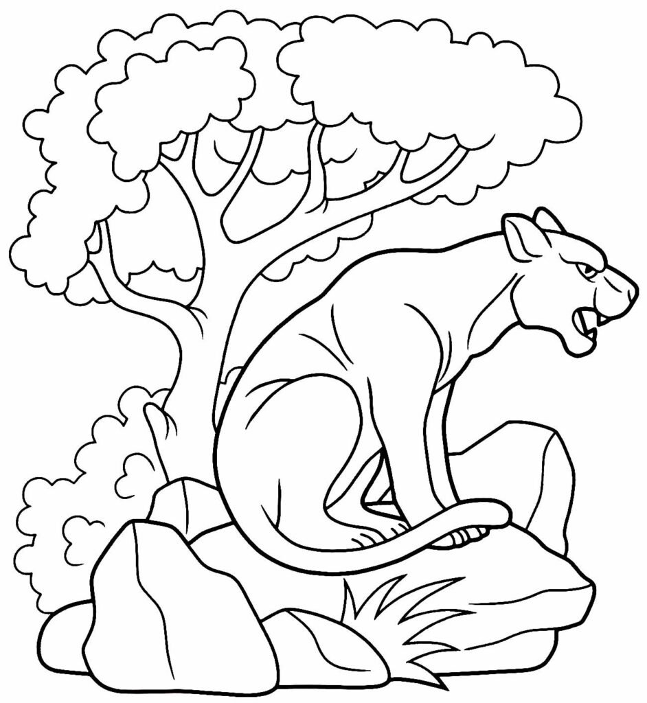 desenhos de pantera para colorir 19