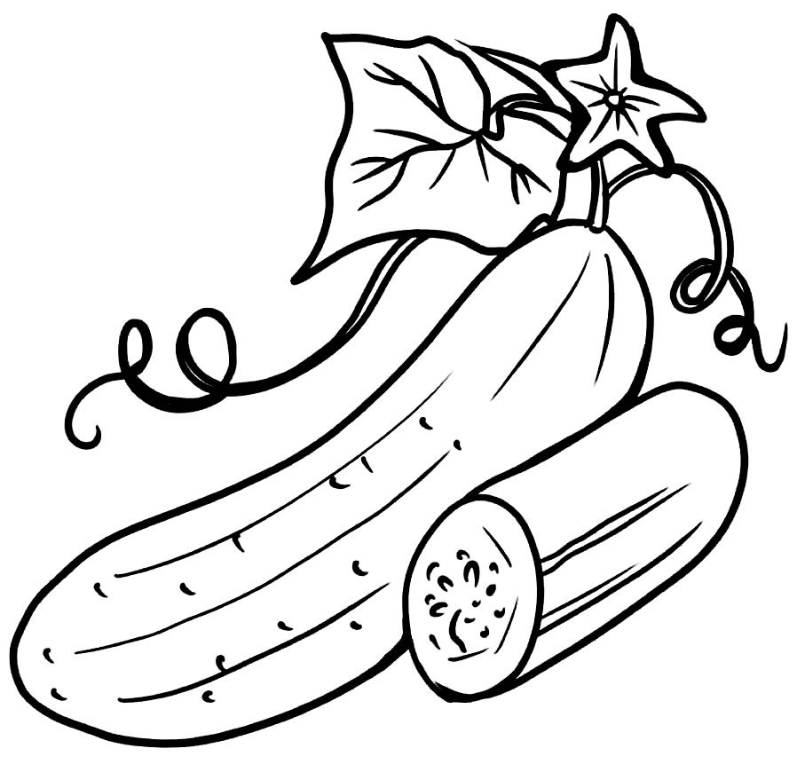 desenhos de pepino para colorir 13