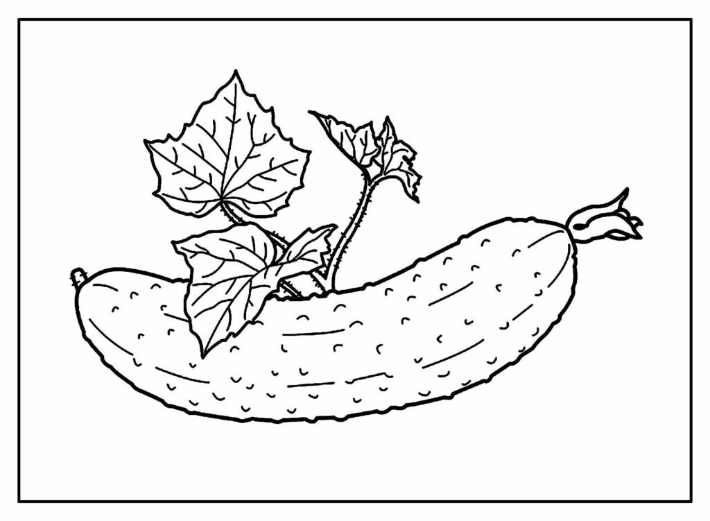 desenhos de pepino para colorir 21 desenhos de pepino para colorir 21