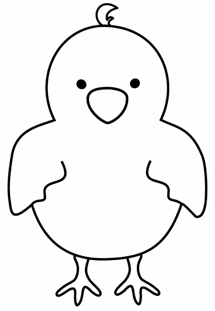 Desenhos de Pintinhos para Colorir e Imprimir - Aprender a Desenhar