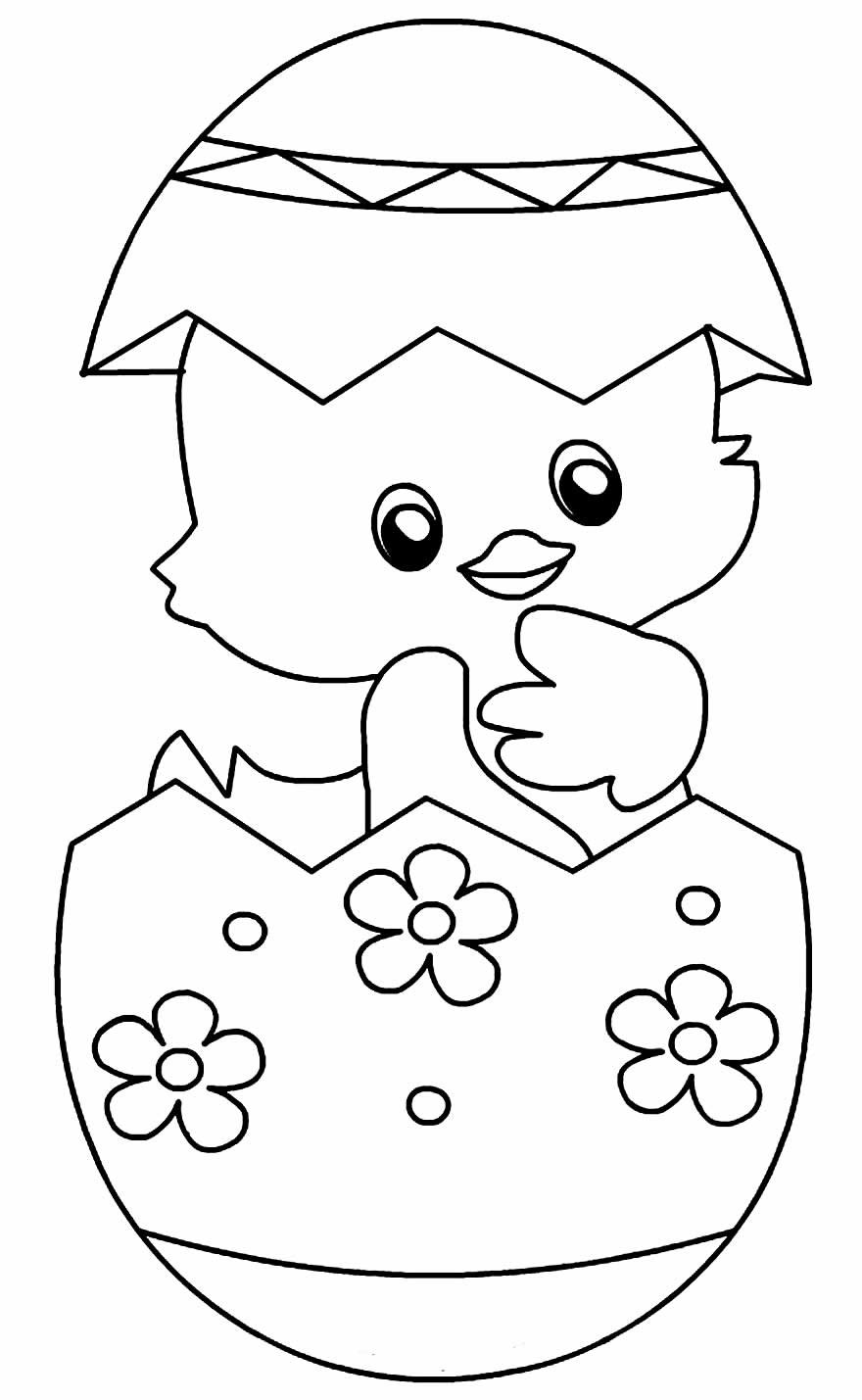 Desenhos de Pintinhos para Colorir e Imprimir - Aprender a Desenhar