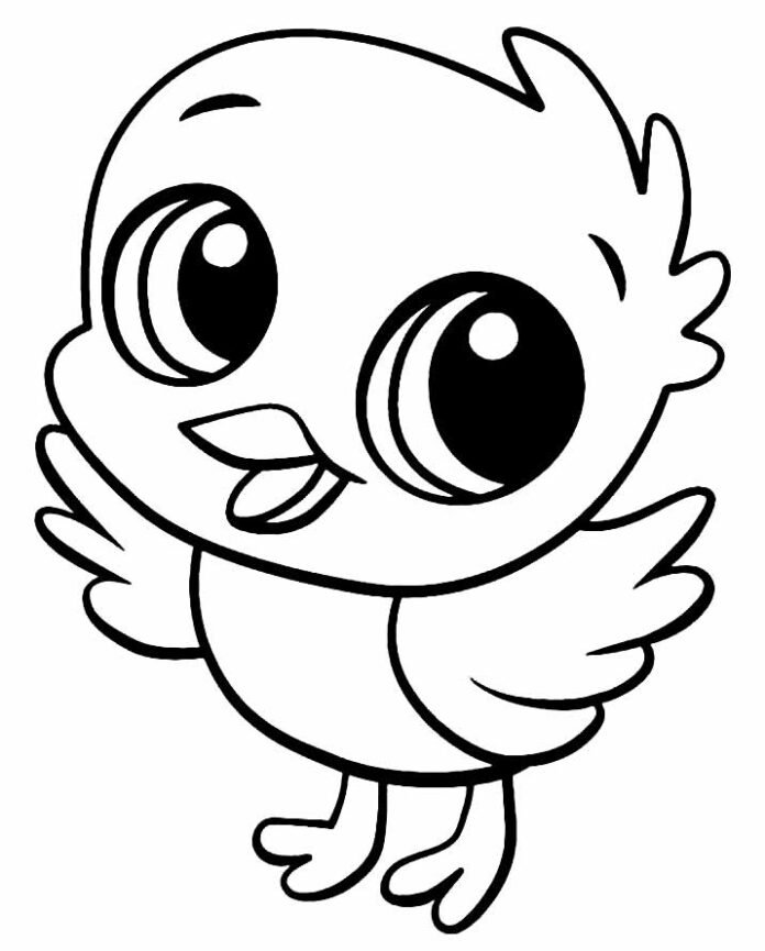 Desenhos de Pintinhos para Colorir e Imprimir - Aprender a Desenhar