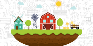 fazenda para colorir