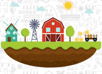 fazenda para colorir