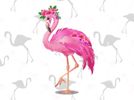flamingo para colorir