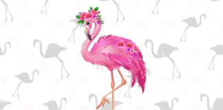 flamingo para colorir