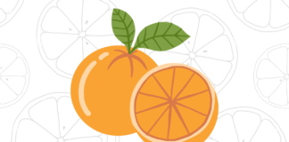 Desenhos de Laranjas para Colorir e Imprimir laranja para colorir