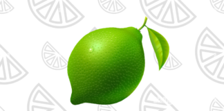 Desenhos de Limão para Colorir e Imprimir limao para colorir