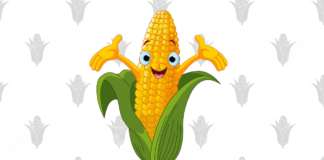 Desenhos de Milho para Colorir e Imprimir milho para colorir