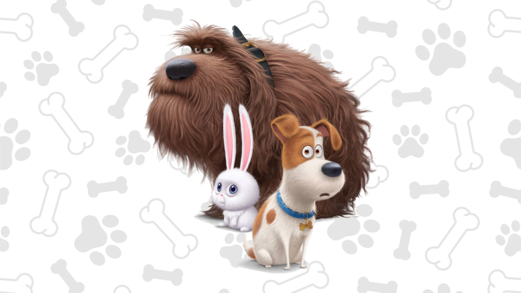 pets para colorir