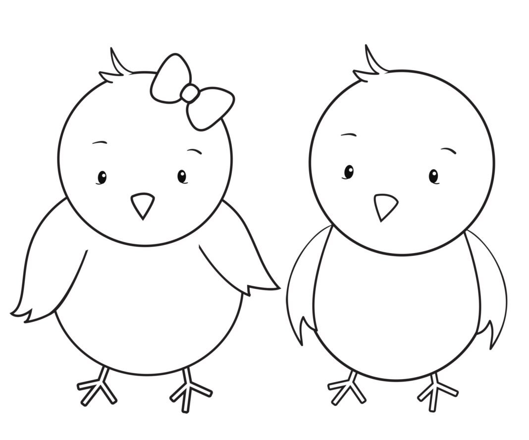 Desenhos de Pintinhos para Colorir e Imprimir - Aprender a Desenhar