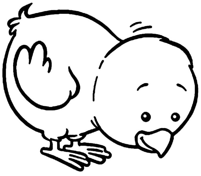 Desenhos de Pintinhos para Colorir e Imprimir - Aprender a Desenhar