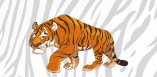 Desenhos de Tigre para Colorir e Imprimir tigre para colorir