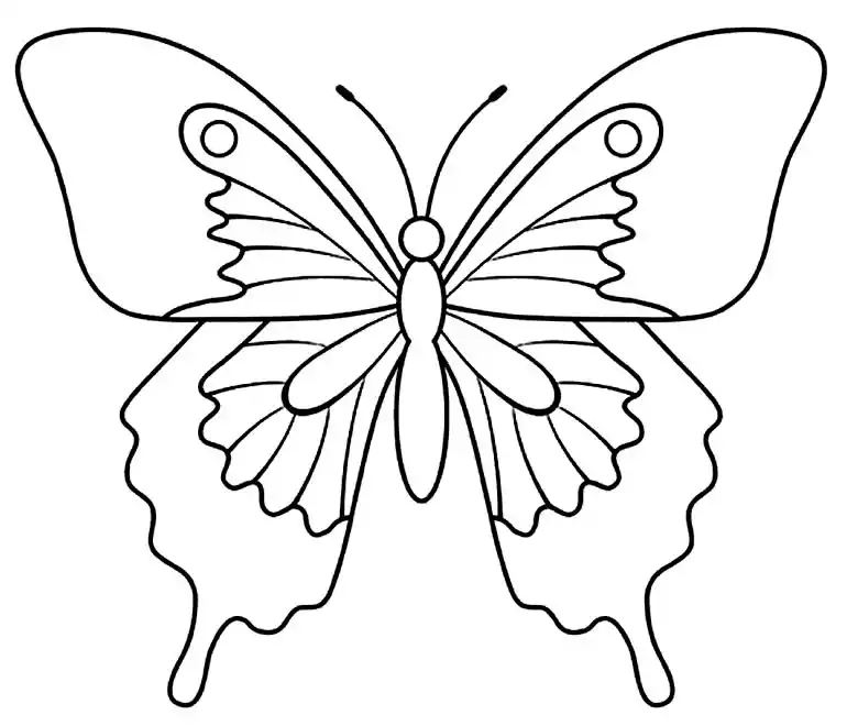 Molde de borboleta para colorir