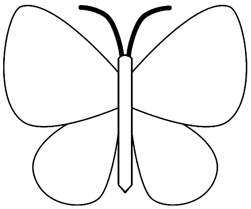 molde borboleta antena