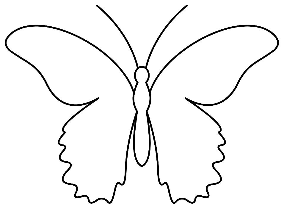 molde borboleta detalhada