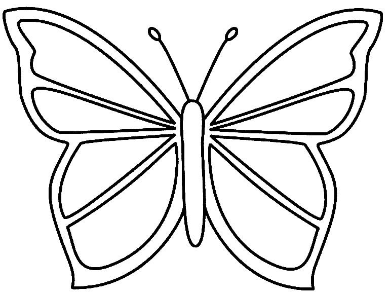 molde borboleta enfeitada