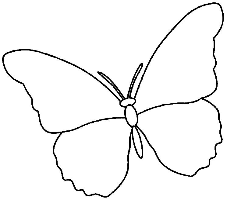 molde borboleta kawaii
