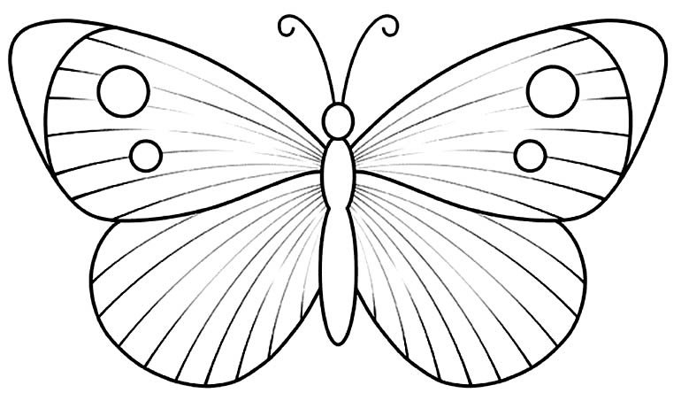 molde borboleta lapis de cor