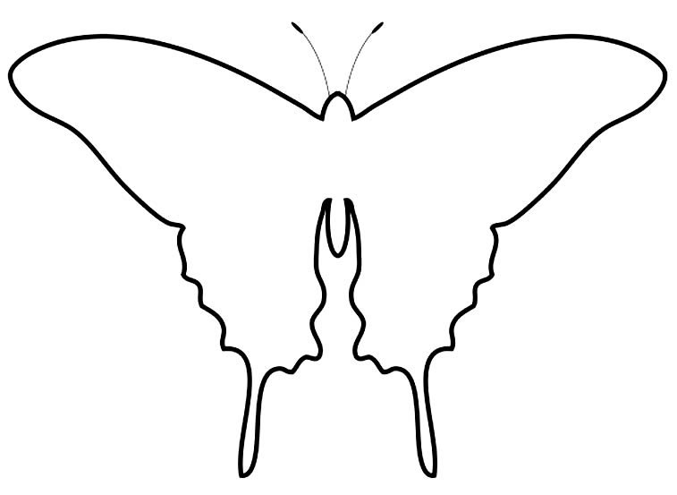 molde borboleta mariposa