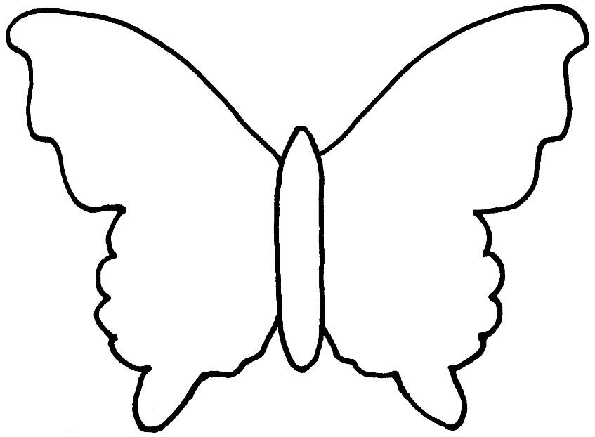 molde borboleta normal