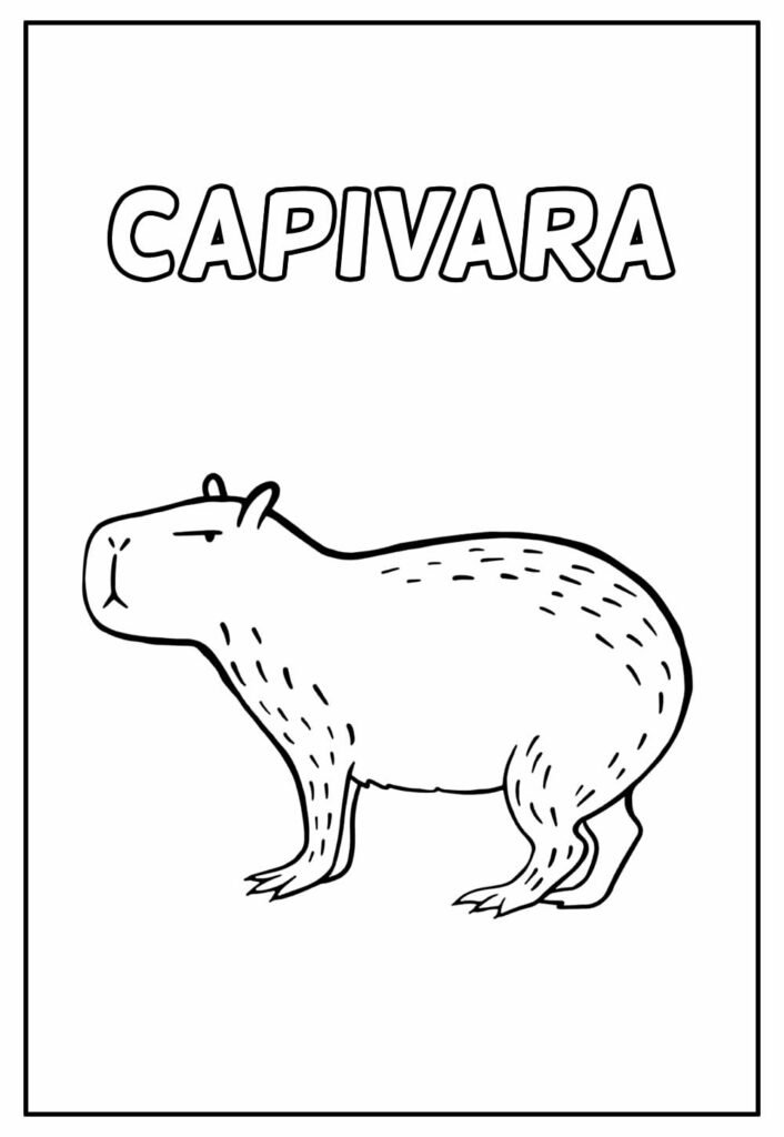 Desenho de Capivara, o maior roedor do mundo para colorir