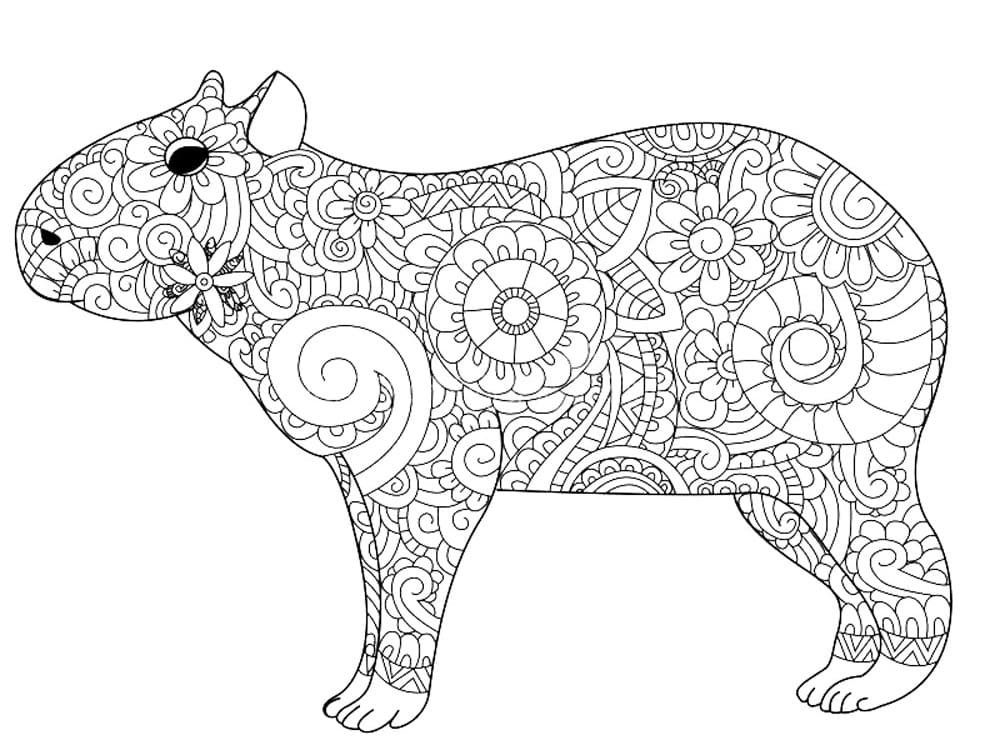 desenho capivara para colorir mandala