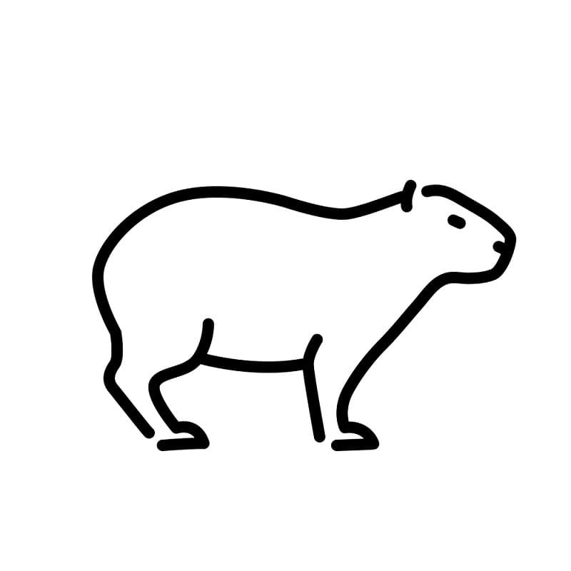 Desenho Para Colorir Animais Capivara Para Crianças Pré Escolares Atividade  imagem vetorial de natchapohn© 354004096