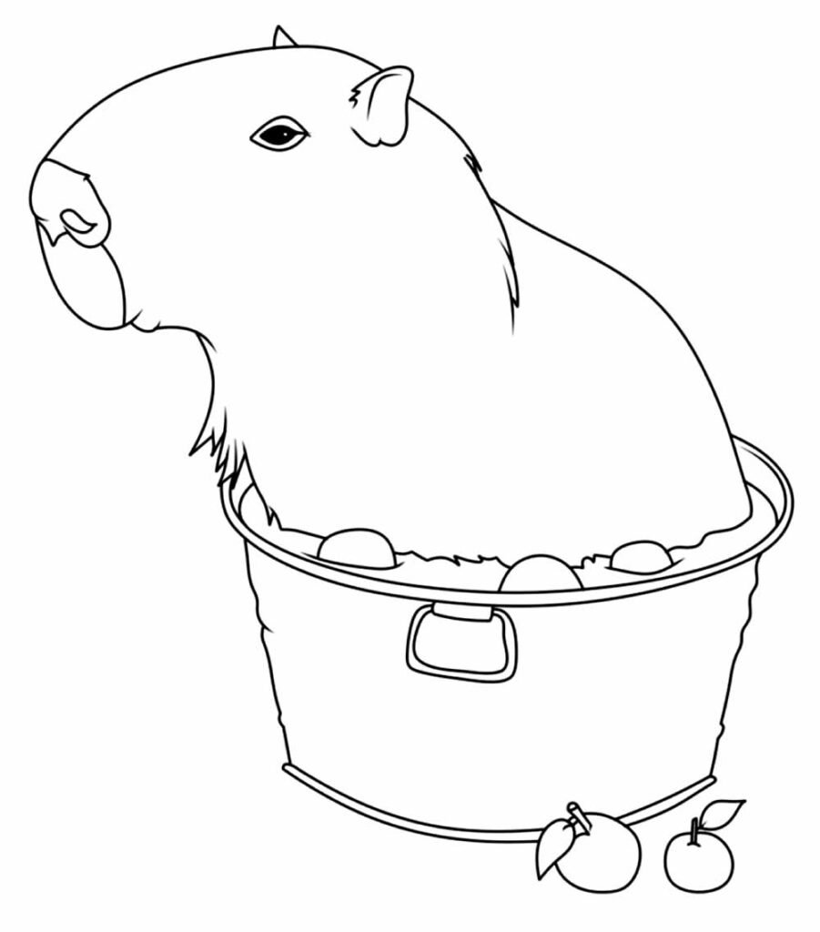 desenho de capivara para colorir animado