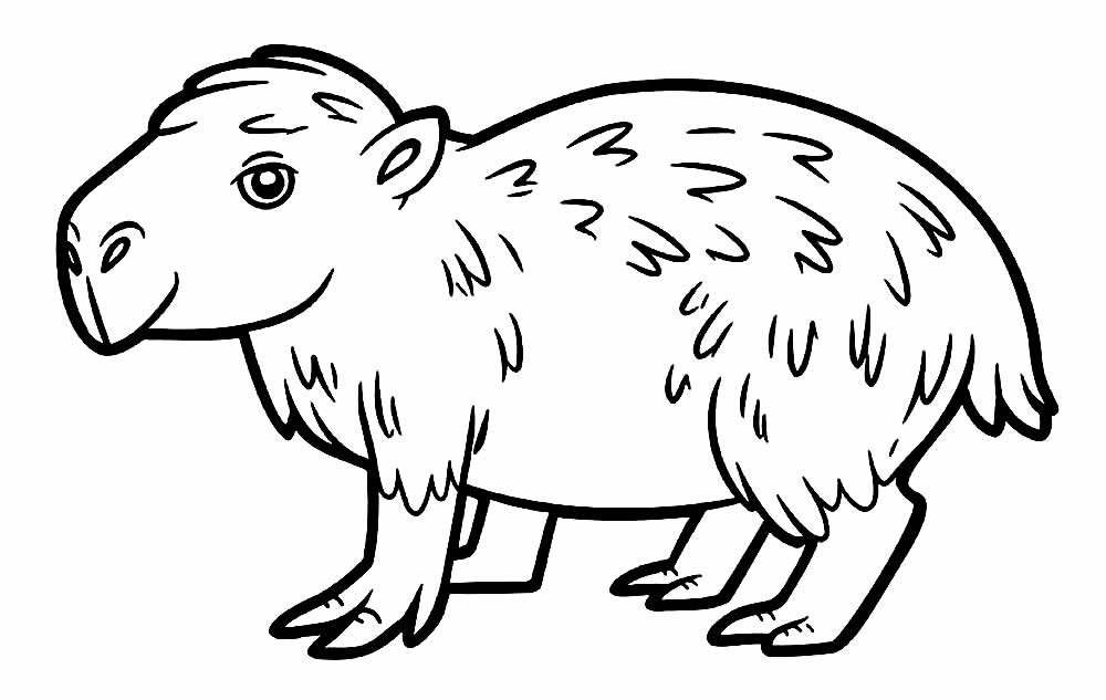 Desenho de Capivara da América do Sul para colorir