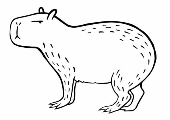 Desenhos de Capivara para Colorir e Imprimir