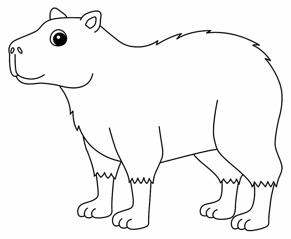 Desenho de Capivara, o maior roedor do mundo para colorir